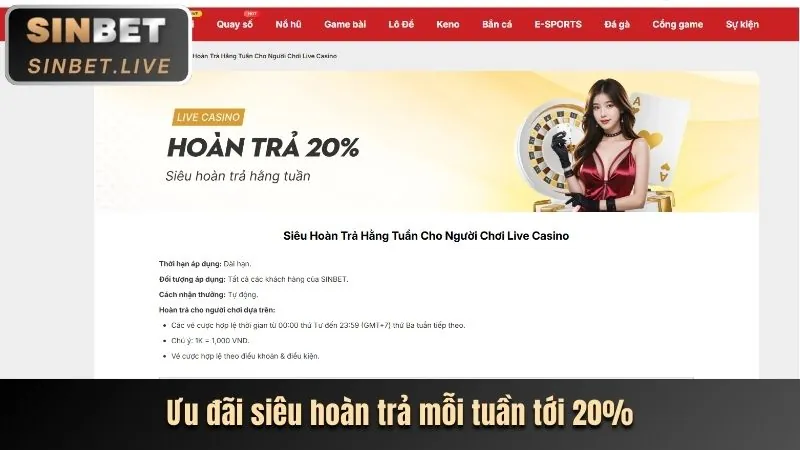 Hoàn trả hàng ngày Awin